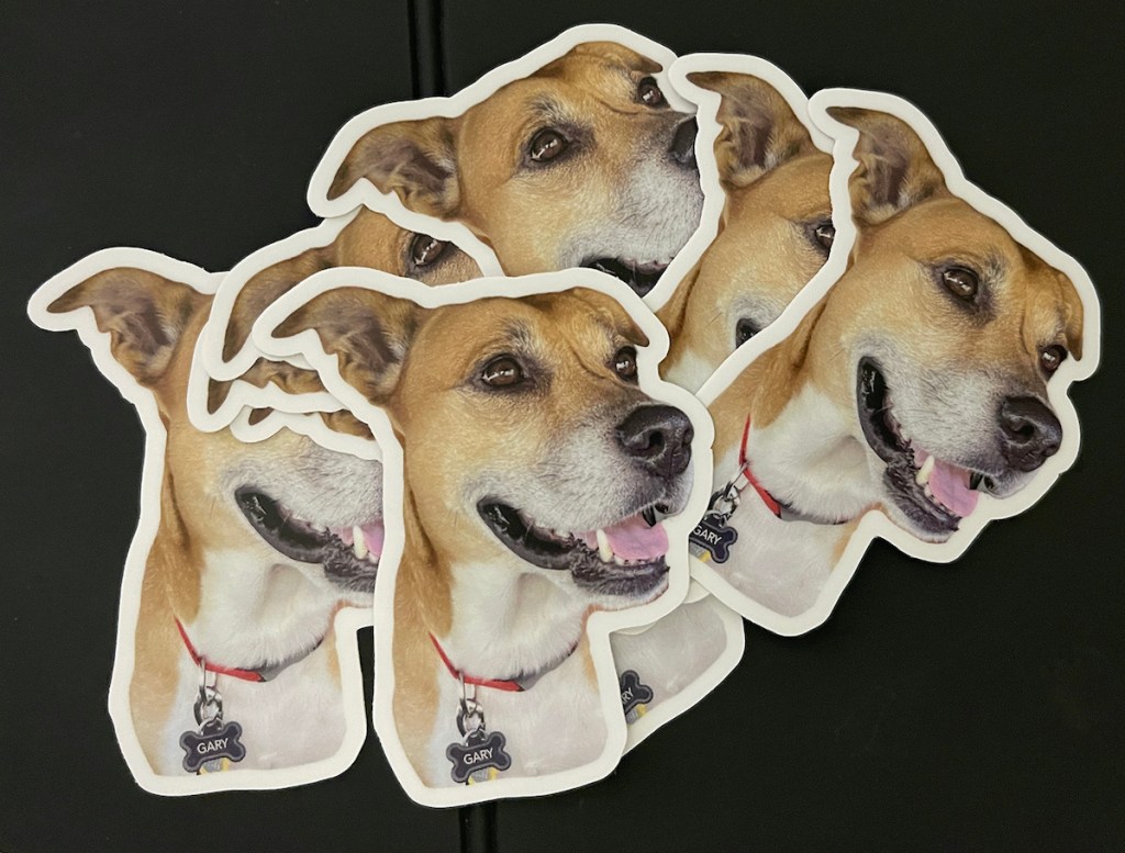 tons of dog stickers on black table