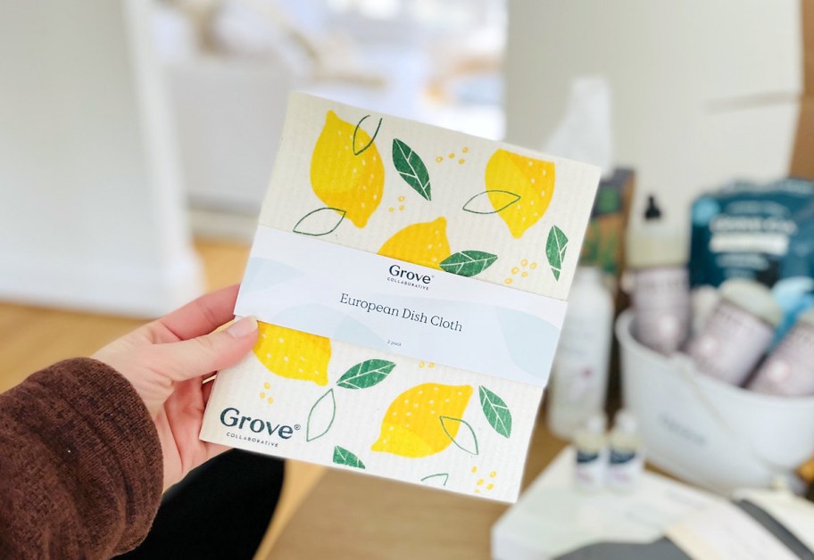 hand holding european dish cloths with lemons