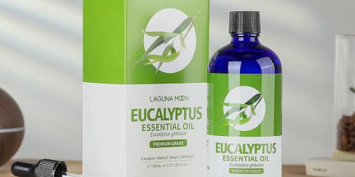 Pure Eucalyptus Essential Oil w/ Glass Dropper Just $11.69 Shipped on Amazon | Great for Soaps, Candles, & More