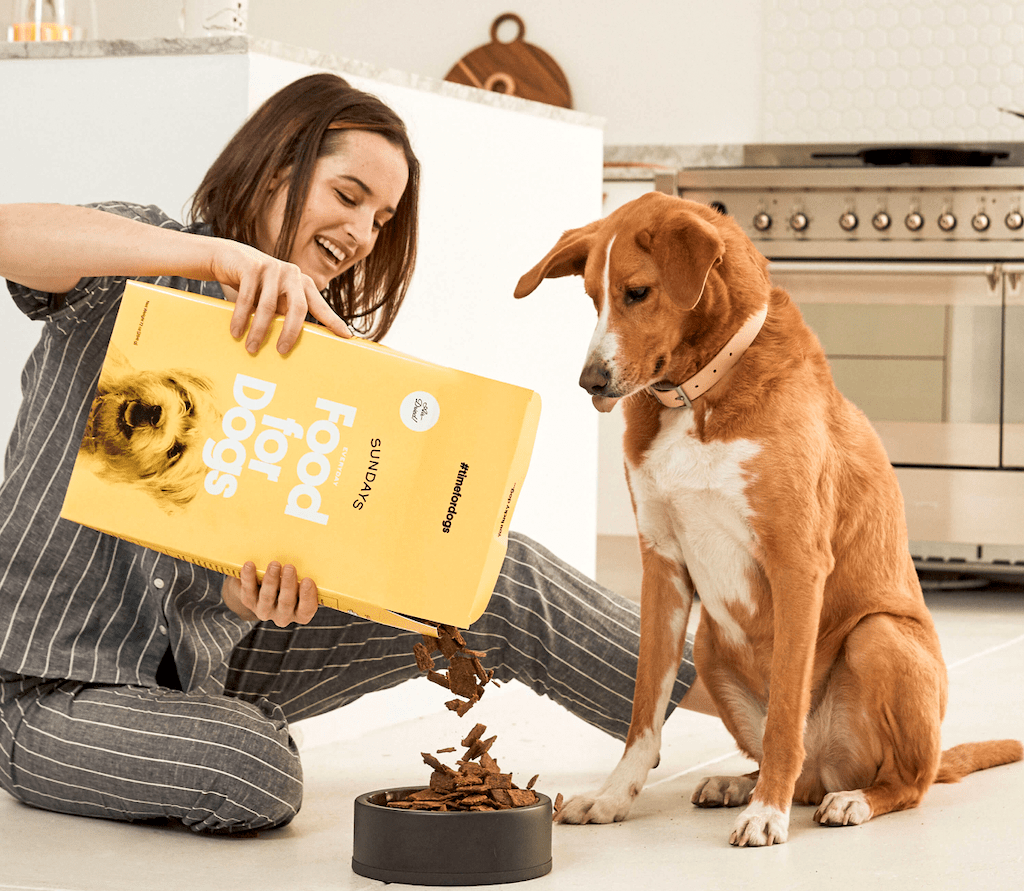 woman feeding dog Sundays food for Dogs 