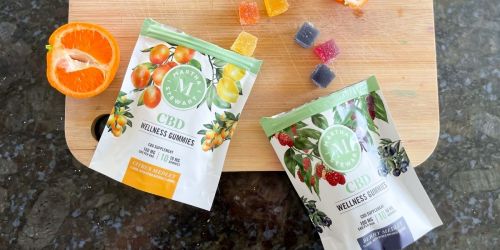 Martha Stewart CBD Gummies 10-Count Bag JUST $9.99 Shipped + FREE Bonus Trial Pack!