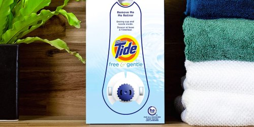 Tide Free & Gentle Laundry Detergent Eco-Box Just $12.54 Shipped on Amazon (13¢ Per Load!)