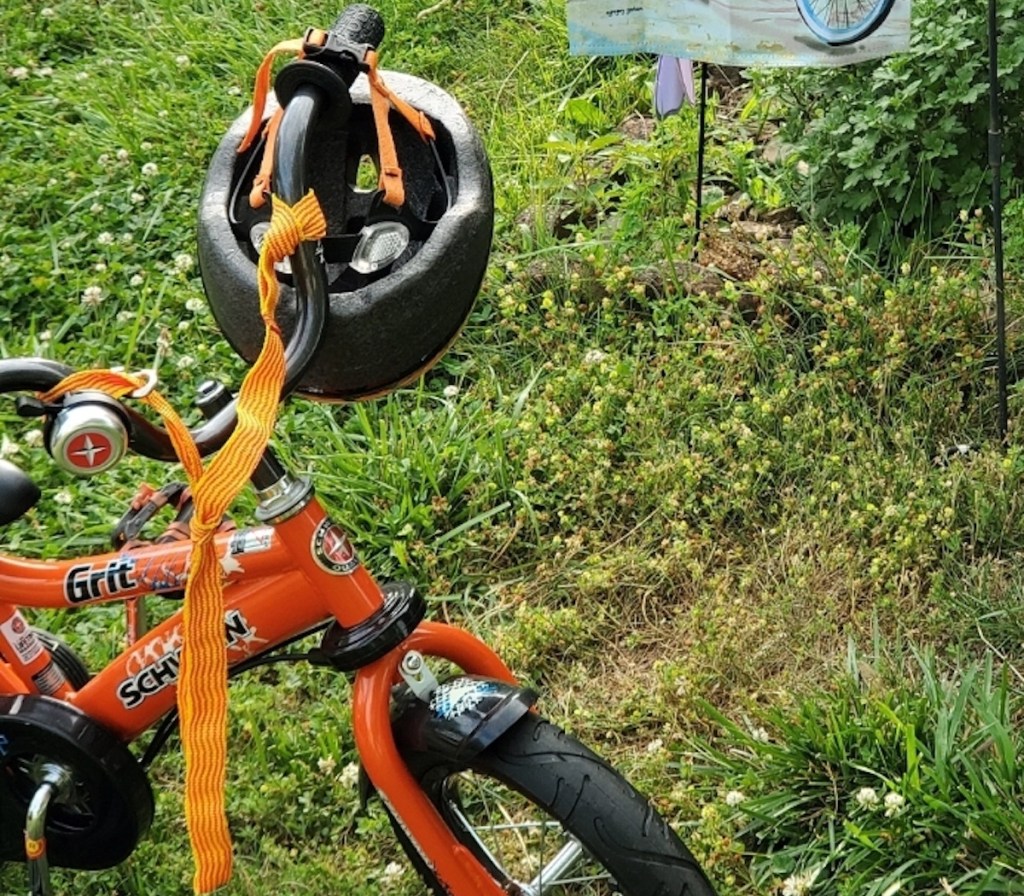 bike with leash and helmet