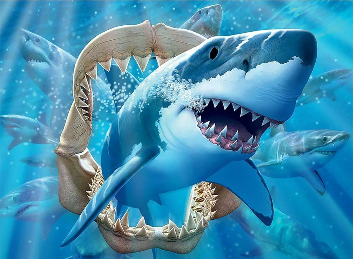 Ceaco shark puzzle