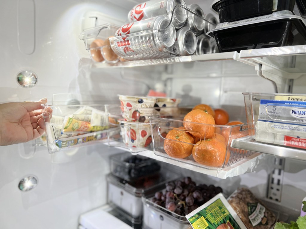 best fridge organization bins 