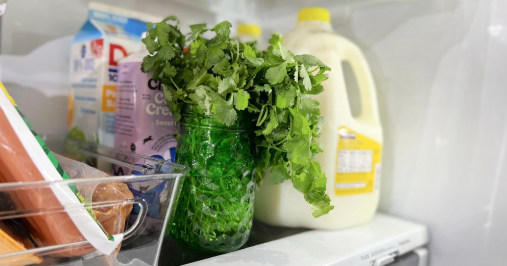 storing herbs in a jar with water