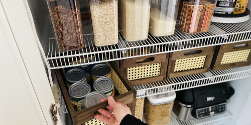 Walmart’s Food Storage Sets Are So Sleek, I Removed My Pantry Doors!