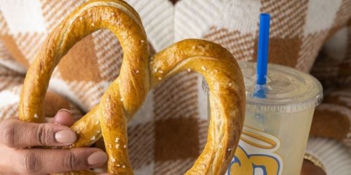 **National Pretzel Day | FREE Pretzels at Auntie Anne’s, Wetzel’s Pretzels & More!