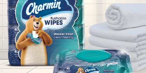 Charmin Flushable Wipes 160-Count Just $5.59 Shipped on Amazon (Reg. $11)