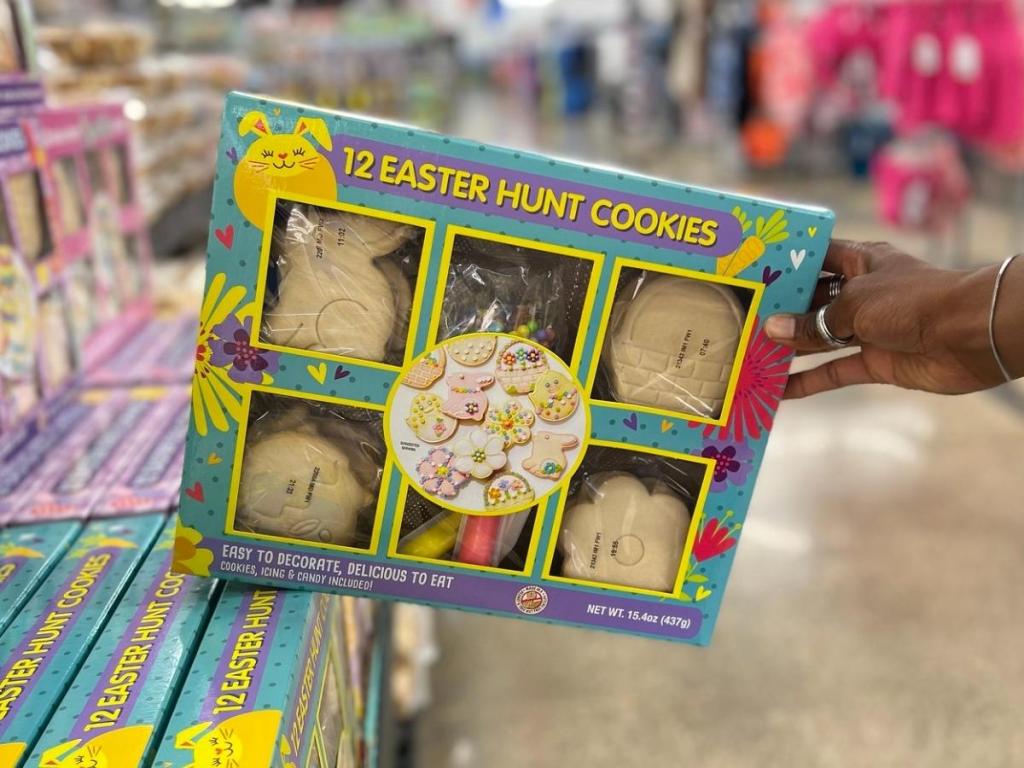12 Easter Hunt Cookies Decorating Kit