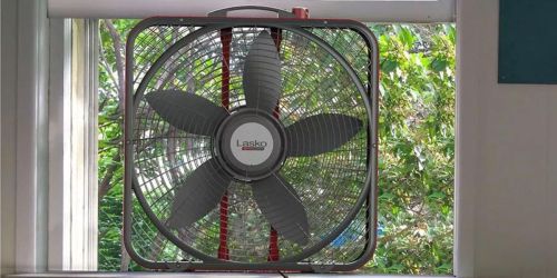 Lasko Industrial-Grade Box Fan Only $19.98 on SamsClub.com (Regularly $30)