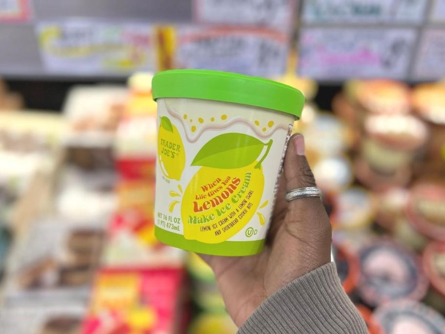 When Life Gives You Lemons Ice Cream 16oz