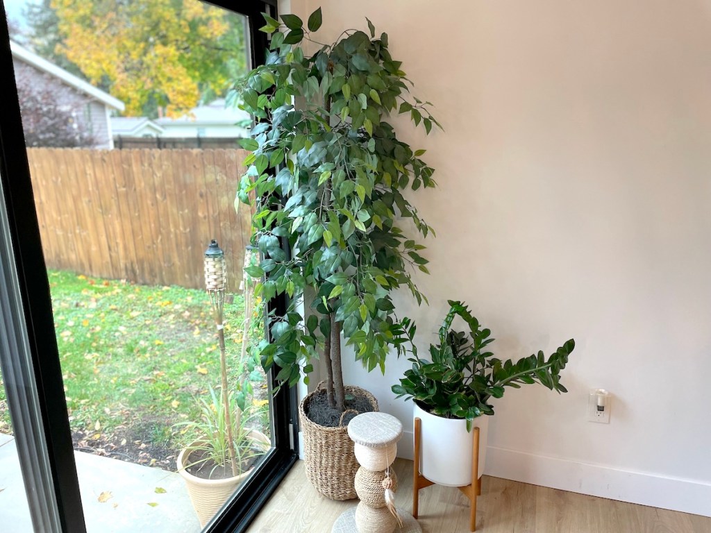 tall tree and plant in front of glass patio door wayfair deals