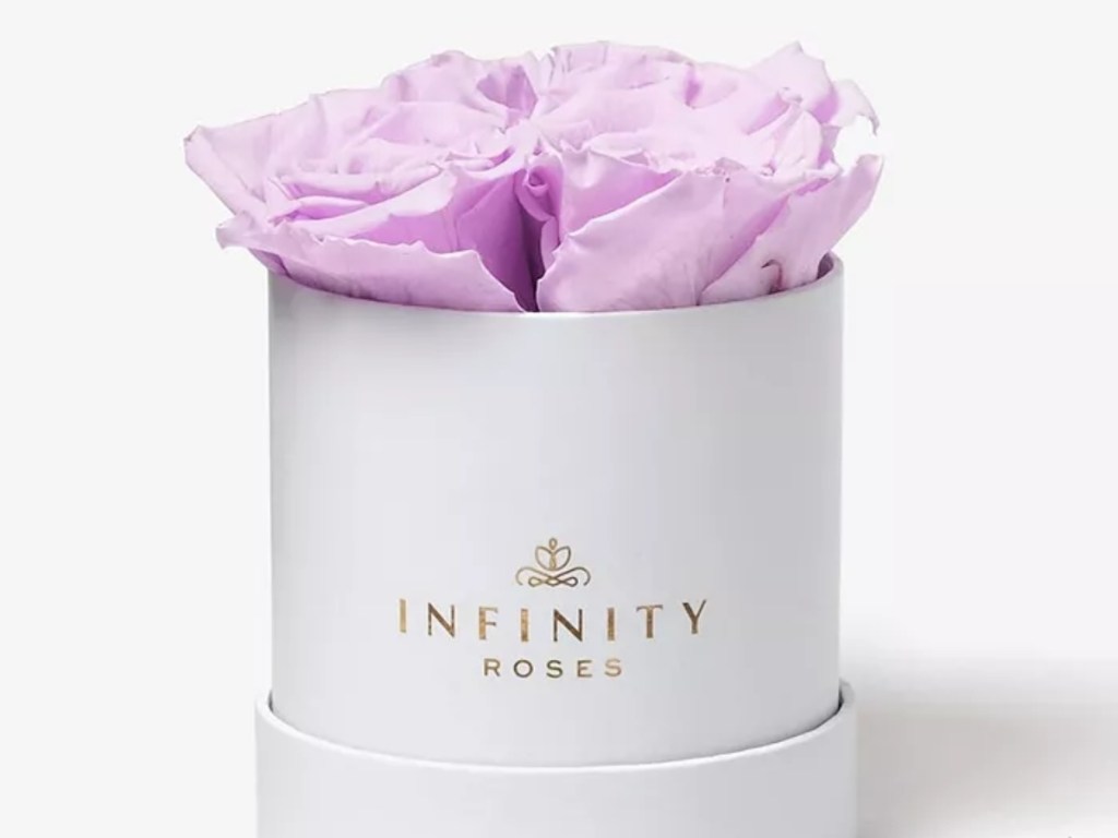 lavender roses in a white box