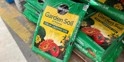 Home Depot 4th of July Sale Ends Today | Save on Miracle-Gro, Plants, Charcoal, Tools, & More!
