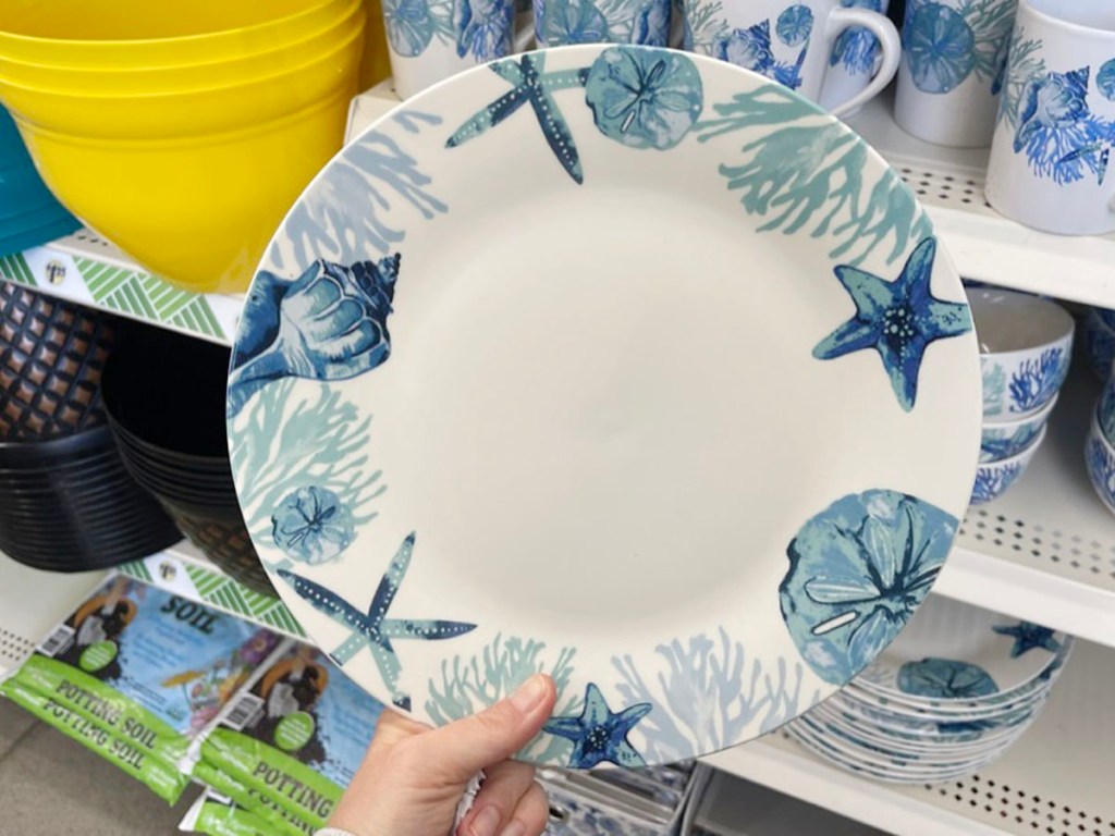 hand holding white and blue nautical plate