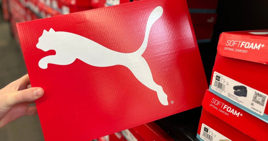 puma sneaker in box