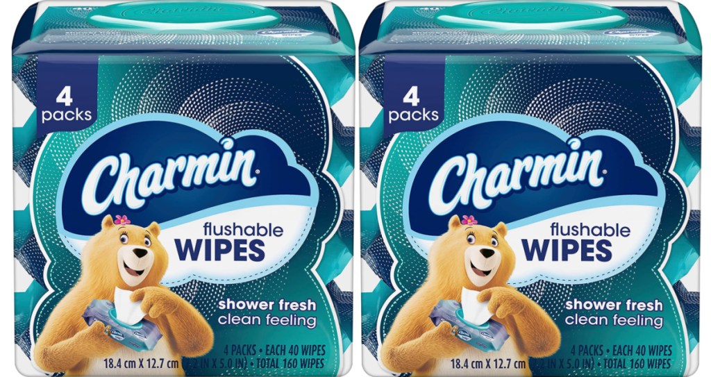 two stock images of Charmin Flushable Wipes, 4 packs