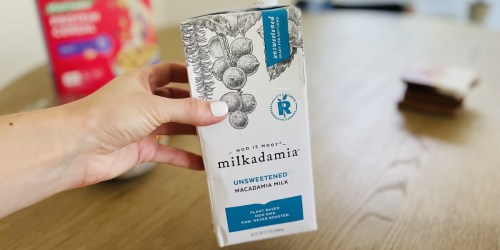 Milkadamia Macadamia Milk 32oz Carton 6-Pack Just $9.99 Shipped on Amazon | Vegan & Lactose-Free