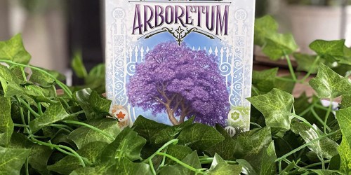 Arboretum Strategy Card Game Only $8.60 on Target.com (Lowest Price Ever!)