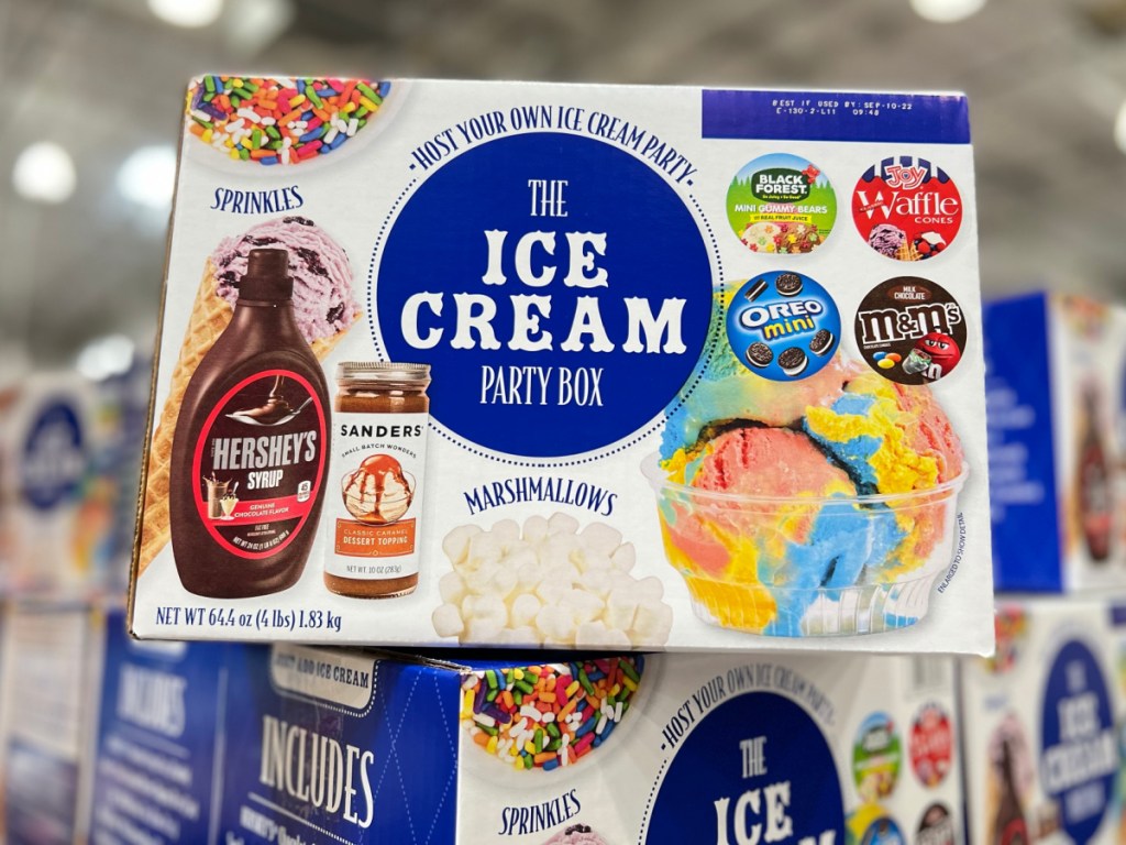 ice cream party box kit in store