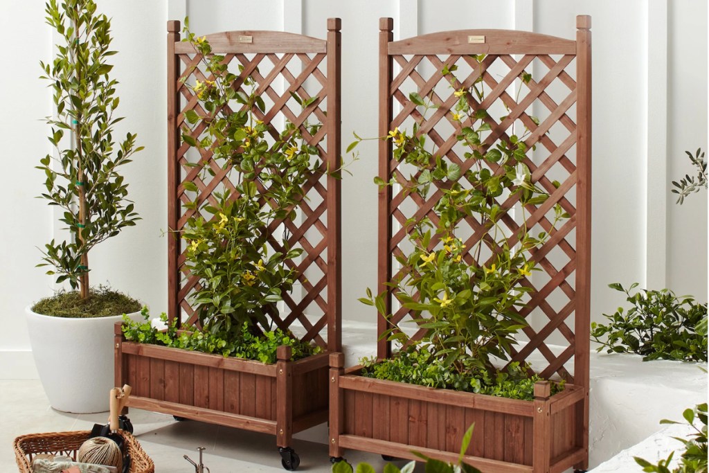 2 pack wooden trellis planters with plants growing up trellis