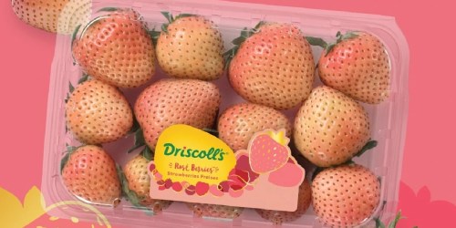 Driscoll’s Tropical Bliss Strawberries Available Now (Feature Hints of Passionfruit & Pineapple)