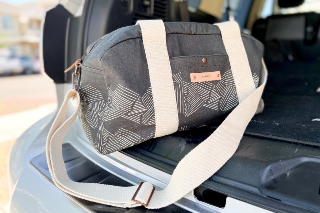 travel bag in backseat of car