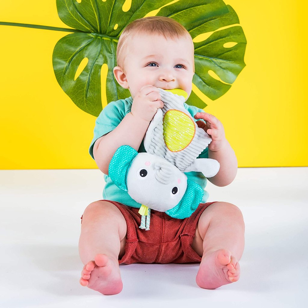 Bright Starts Snuggle & Teethe Plush Teething Baby Toy