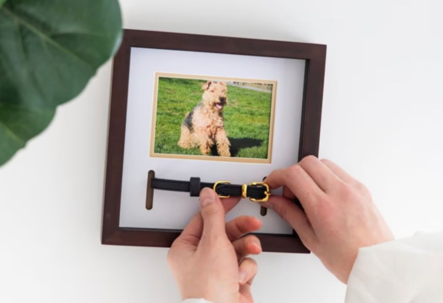 hands holding leather dog keychain on dog picture frame