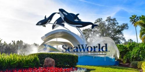 45% Off SeaWorld Tickets (+ Save on Multi-Park Admission Too!)