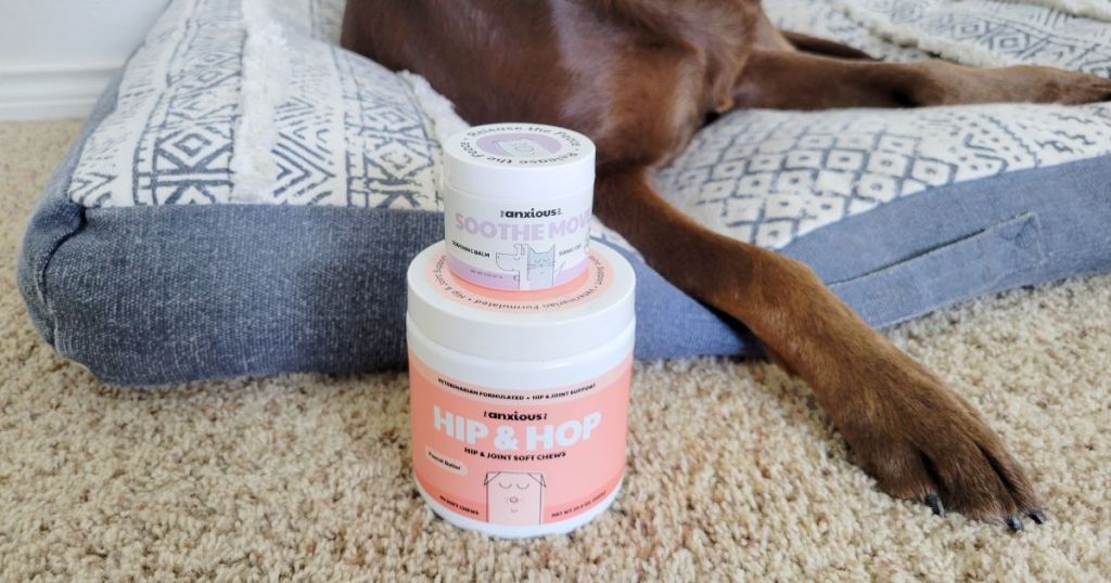 The Anxious Pet products next to dog in dog bed