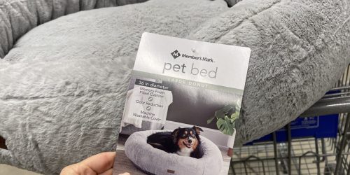 Sam’s Club Large Donut Pet Bed Possibly Only $19.91 (Regularly $35) + Shop More Deals Online