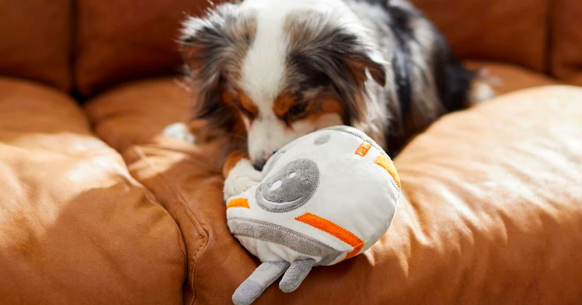 star wars dog toys