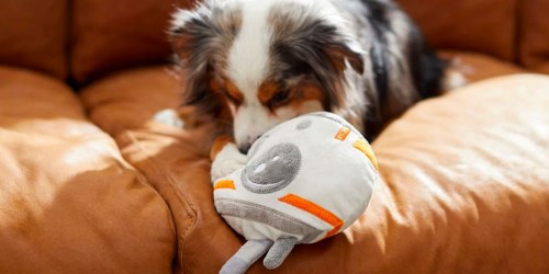 Chewy Pet Toys & Accessories Sale | BOGO Free Disney & Star Wars Styles w/ Prices from $1.56