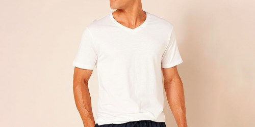 Amazon Basics Mens V-Neck Shirts 6-Pack Only $16 (Regularly $25)