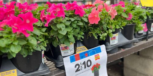 Lowe’s 4th of July Sale | HOT BUYS on Plants, Lawn Care, Patio Furniture + More