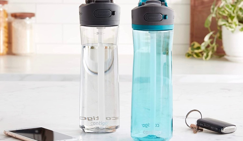 Contigo Ashland 2.0 Leak-Proof Water Bottle