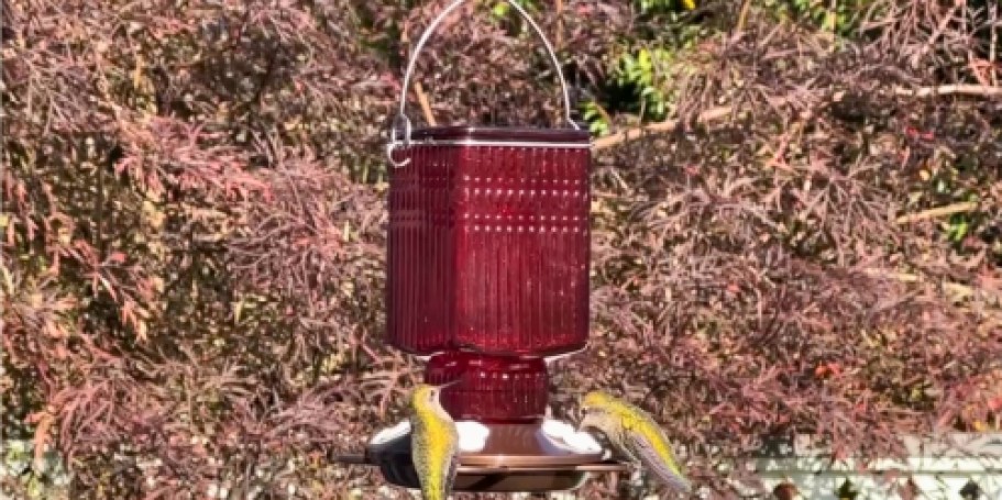 Glass Hummingbird Feeder Only $5.80 on Target.com