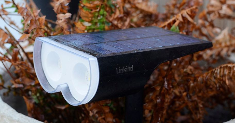 two smart solar lights lit up at night