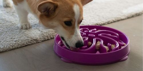 HURRY! Outward Hound Fun Feeder Dog Bowl Only $5 on Amazon (Regularly $17)
