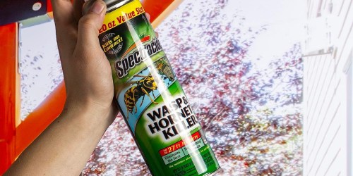 Spectracide Wasp & Hornet Killer Spray 2-Pack Just $6 Shipped on Amazon