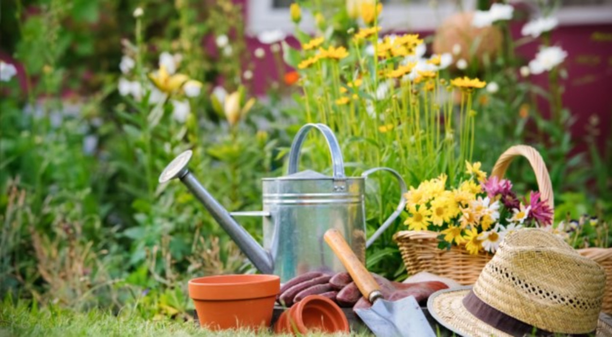 a garden like this one is one of the things you can rent to make extra money