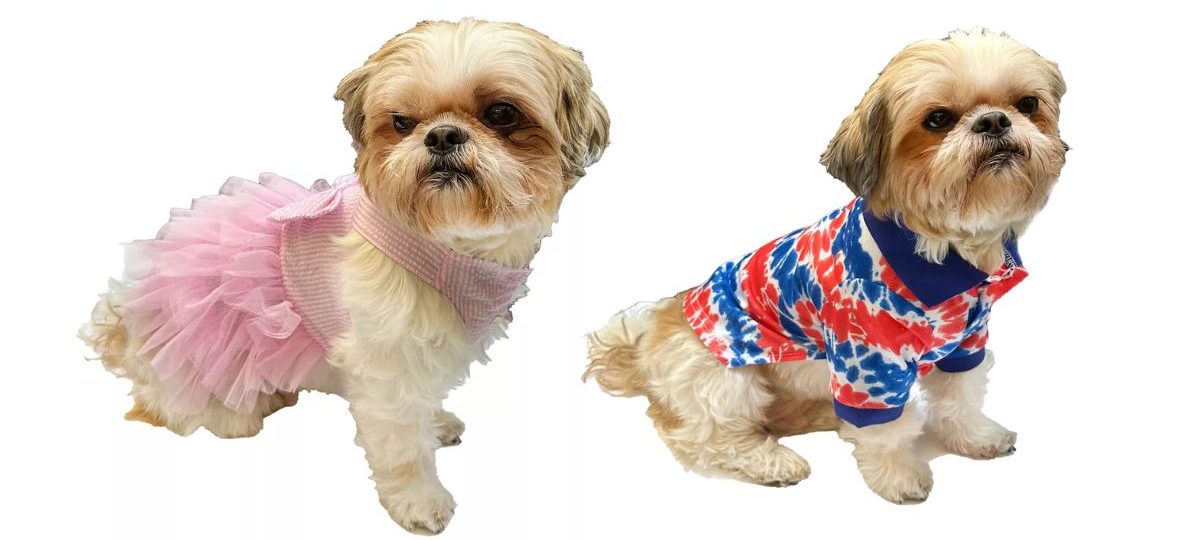 Kohl's Pet Clothes - Dog Seersucker Dress and Americana Tye Dye Shirt