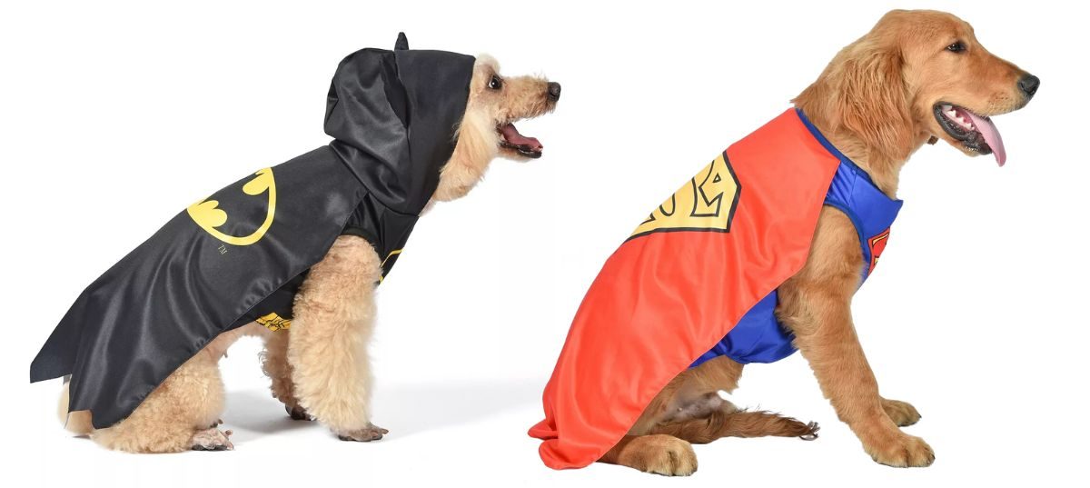 Kohl's Pet Costumes - DC Comics Batman and Superman Costumes