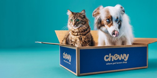 $20 Off Chewy New Customer Promo Code | Up to 75% Off Pet Treats, Food, Toys & More