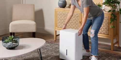 Haier 20-Pint Dehumidifier Just $83.99 Shipped on Target.com (Regularly $210)