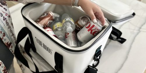 10 Yeti Cooler Bag Alternatives (Starting Under $18!)