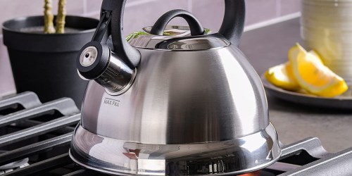 Mr. Coffee Stainless Steel Whistling Tea Kettle Only $9.18 on Amazon (Regularly $20)