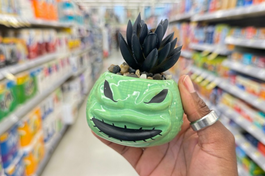 hand holding nightmare before christmas mini succulent plants